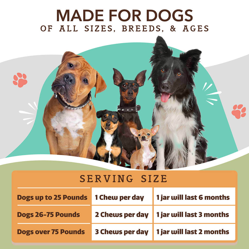 Dog Hip and Joint Soft Chews product image 10