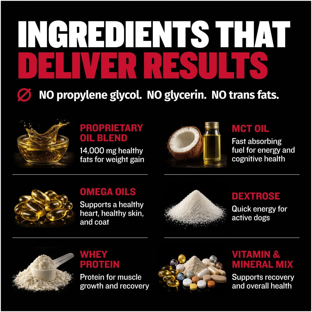 High-Calorie Liquid Dog Weight Supplement product image 3