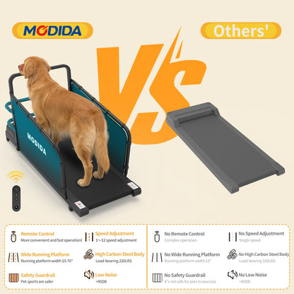 Dog Treadmill – Adjustable Speed Indoor Pet Exercise Running Machine with LED Display, Quiet Motor for Home Use, Tracks Time Distance & Calories
