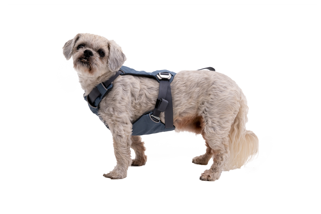 Crash-Tested Dog Car Harness product image 9