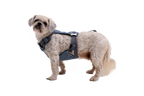 Crash-Tested Dog Car Harness product image 9