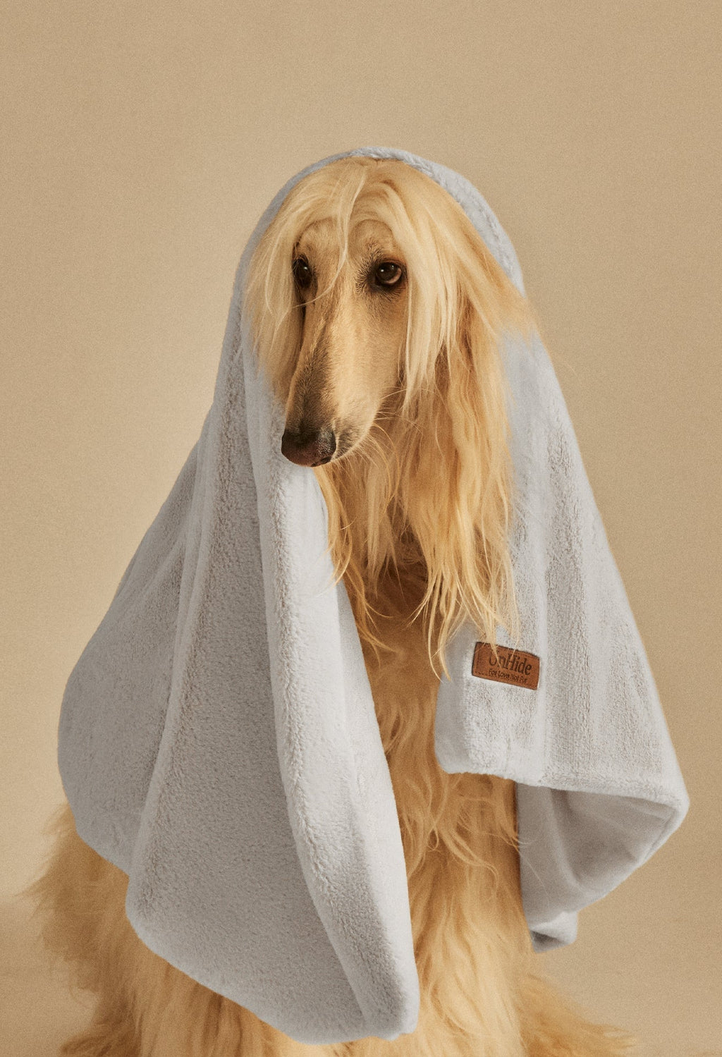 Water-Resistant Pet Blanket product image 27