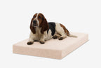 Orthopedic Dog Crate Bed product image 34