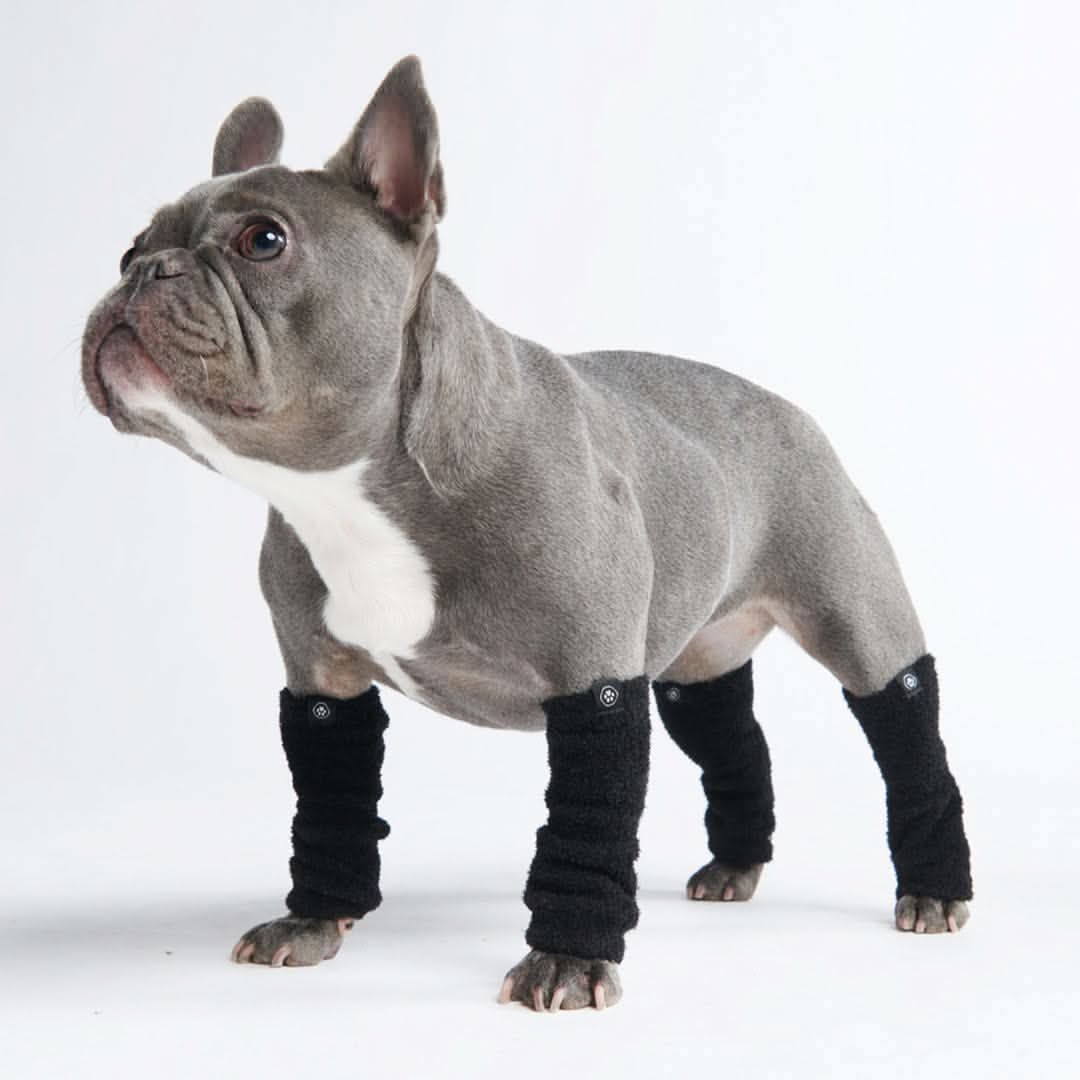 Stretch Fleece Dog Leg Warmers product image 1