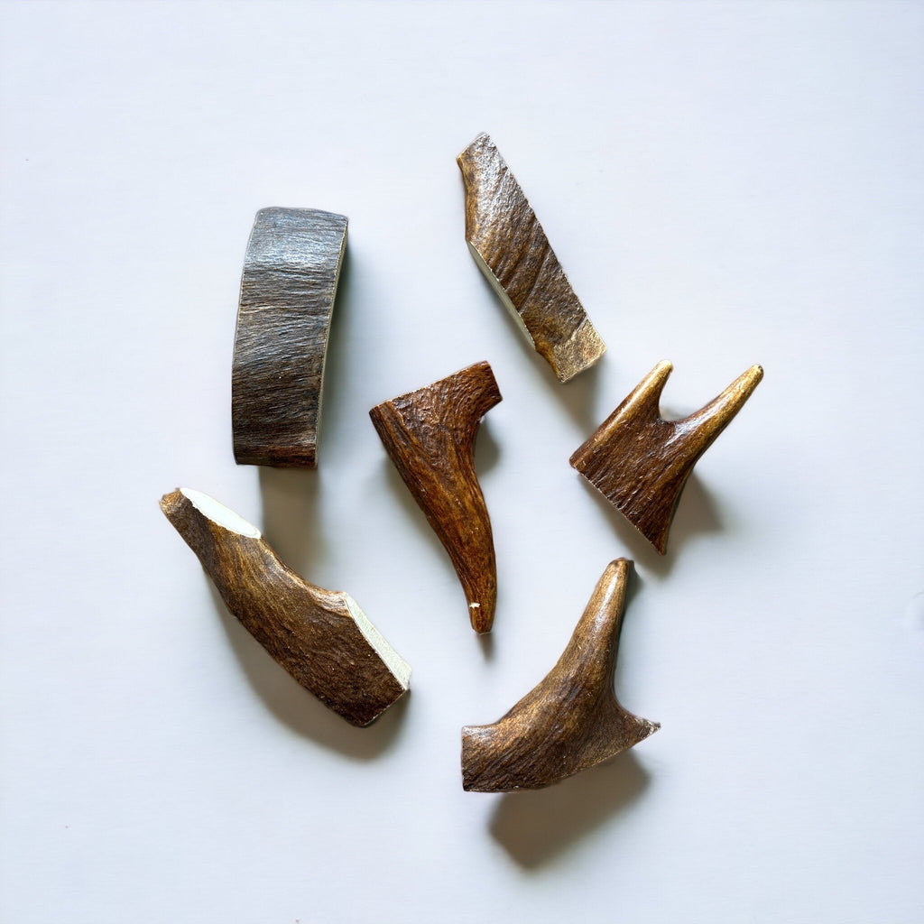 Moose Antler Dog Chew Assortment product image 11