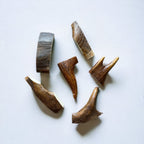Moose Antler Dog Chew Assortment product image 11