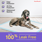 Extra-Large Dog Training Pads product image 10
