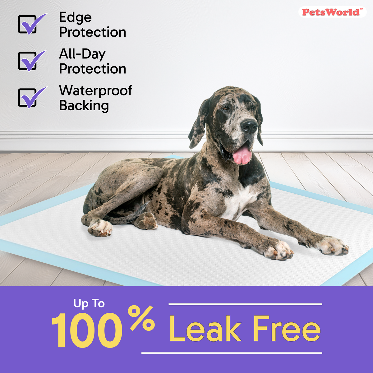 Extra-Large Dog Training Pads product image 10