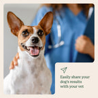 Dog Gut Microbiome Test Kit product image 14