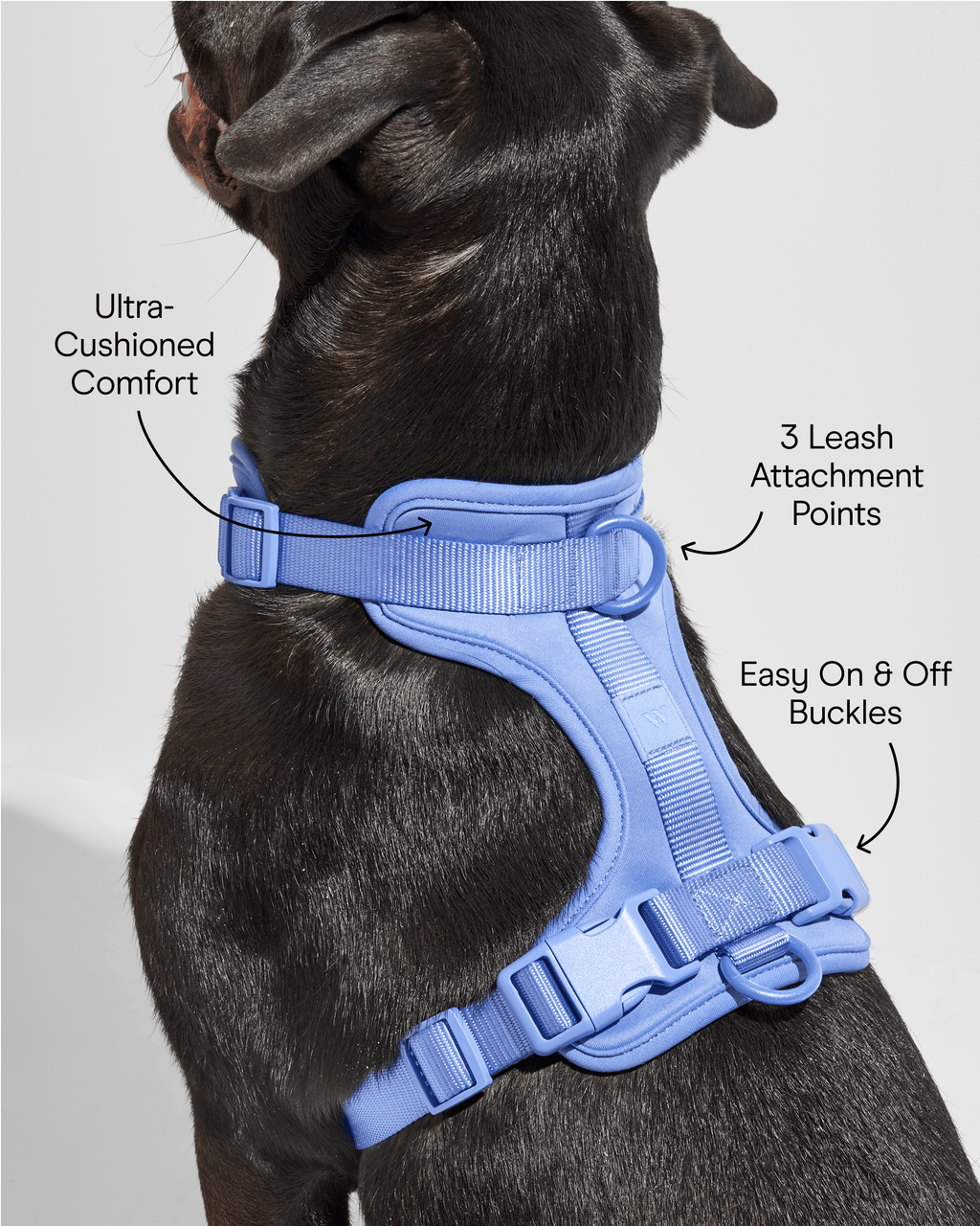 Cushioned No-Pull Dog Harness product image 32