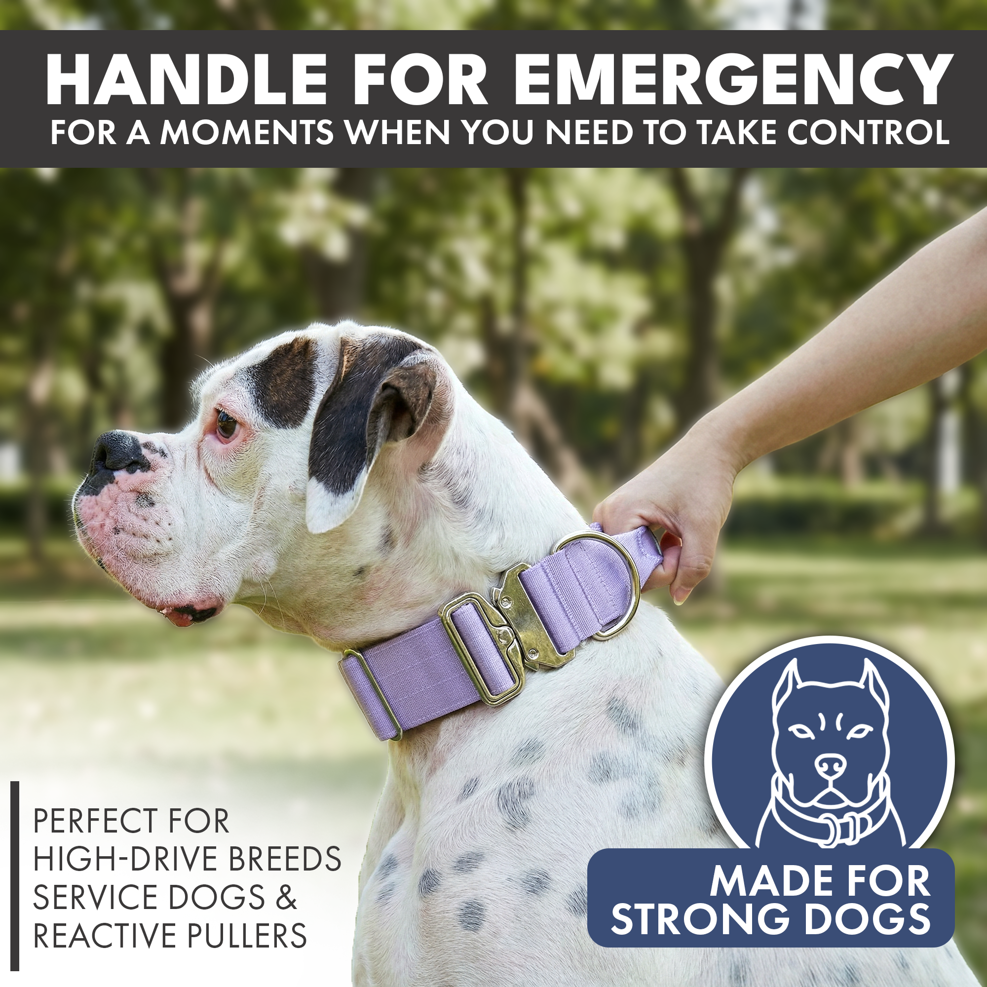 Control-Handle Dog Collar product image 3