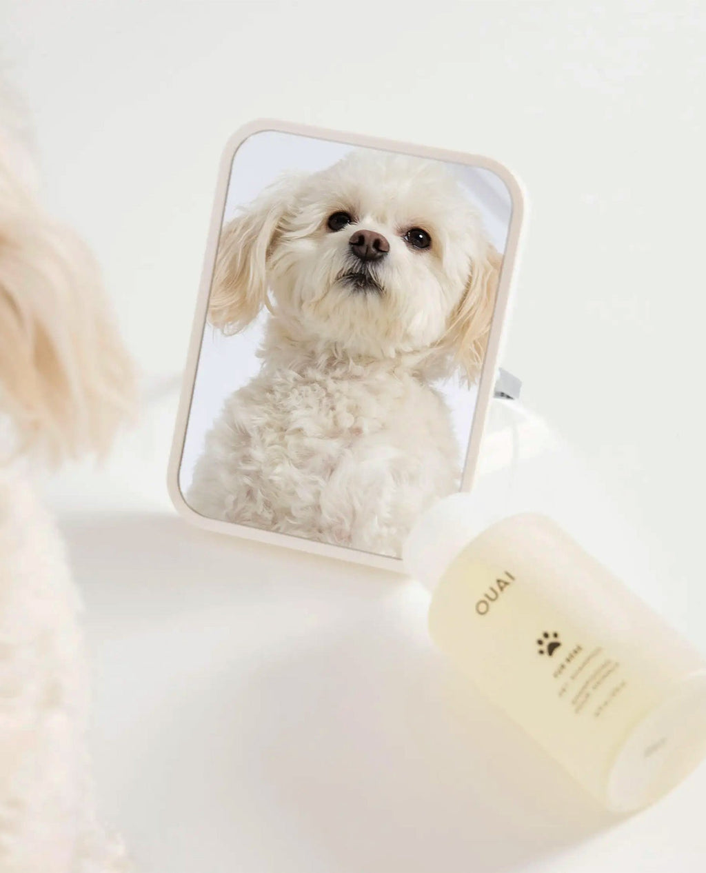Hydrating Dog and Cat Shampoo product image 6