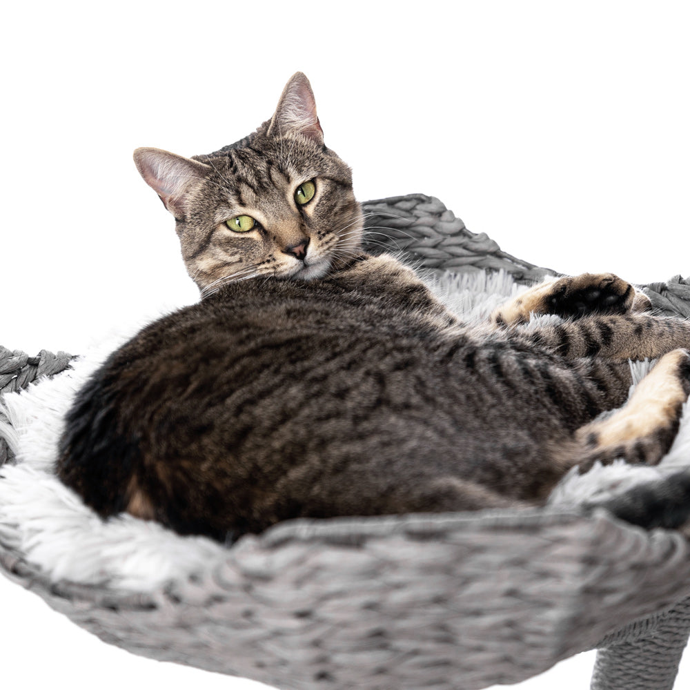 Four-Basket Cat Tree product image 12