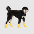 Waterproof Silicone Dog Rain Boots product image 11