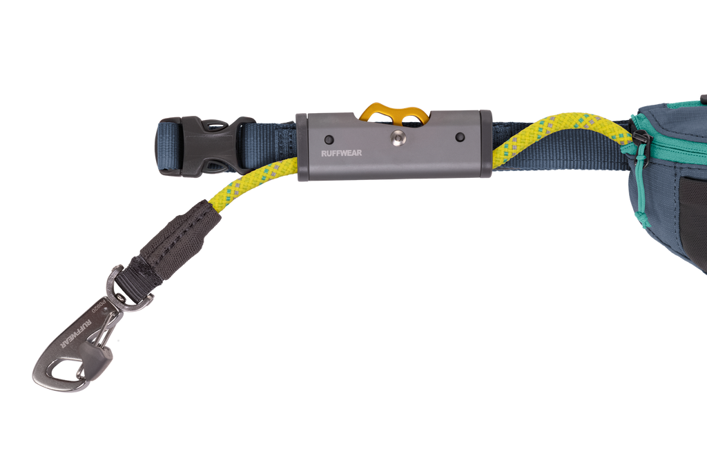Adjustable Dog Leash and Hitching System product image 40