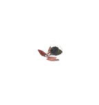 Live Tiger Lotus Aquarium Bulb product image 13