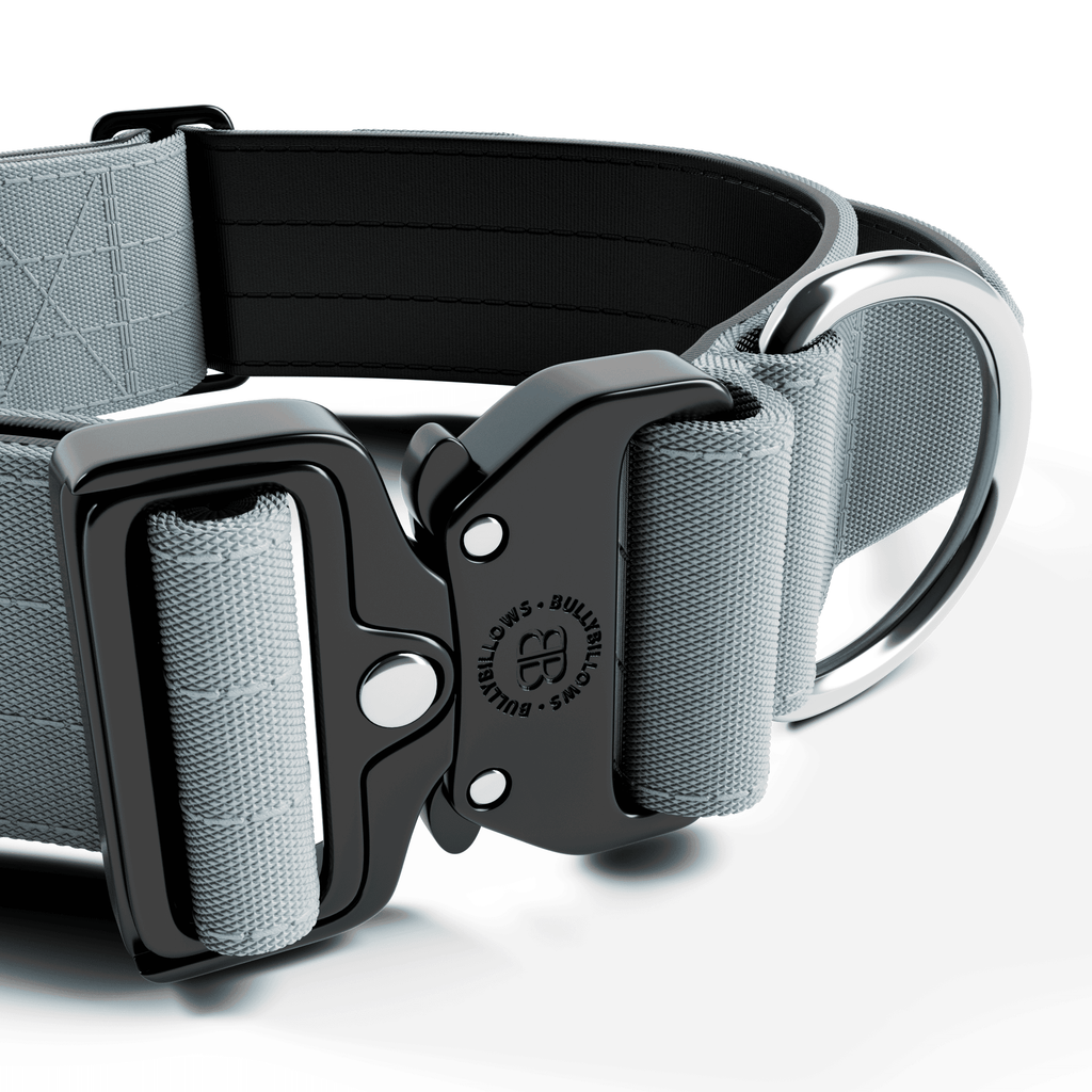 Wide Control-Handle Dog Collar product image 2