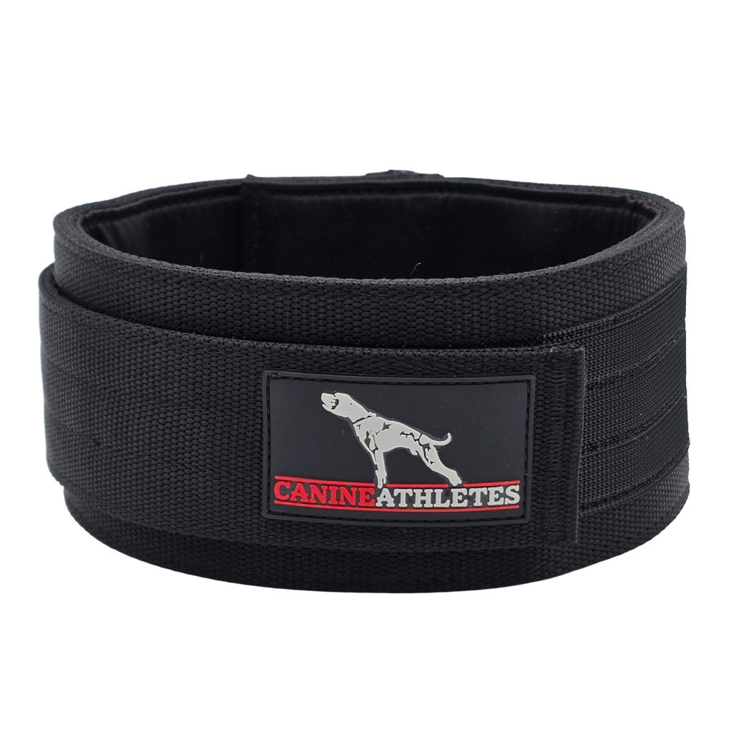 Weighted Working Dog Collar Black / 3LB