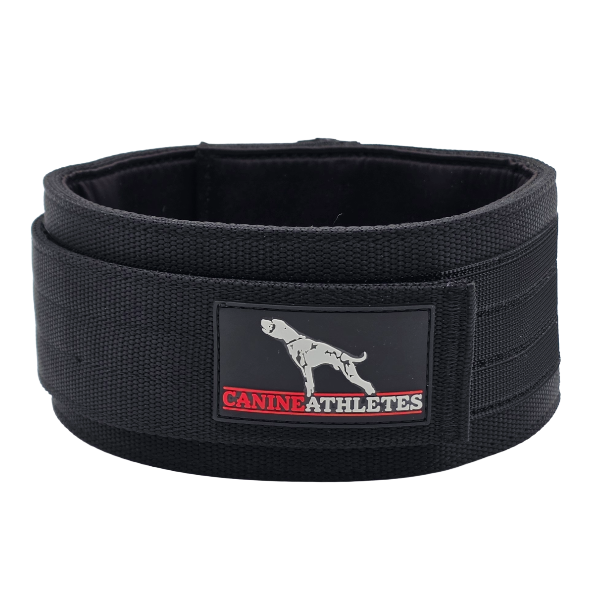 Weighted Working Dog Collar Black / 3LB