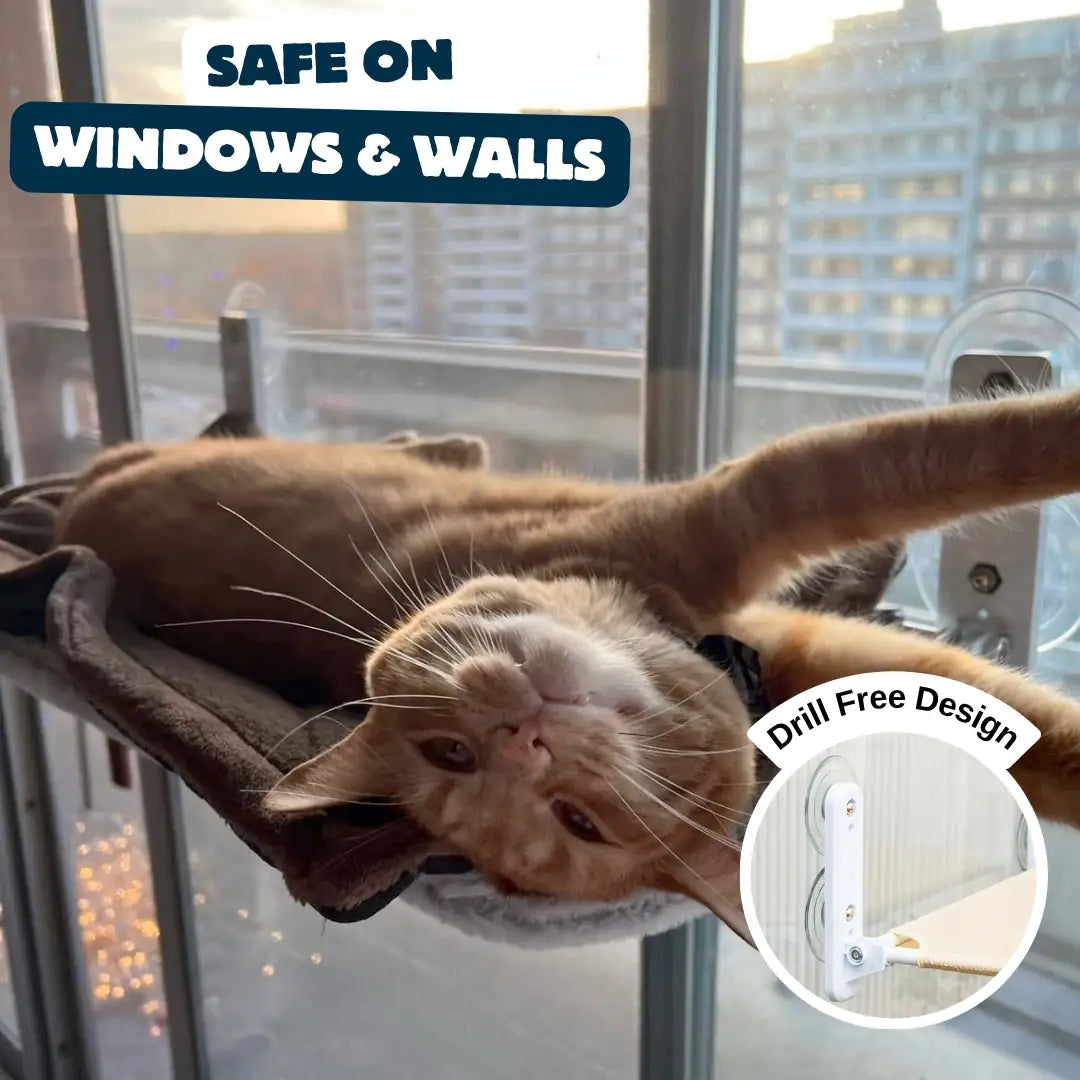 Foldable Window Cat Hammock product image 5