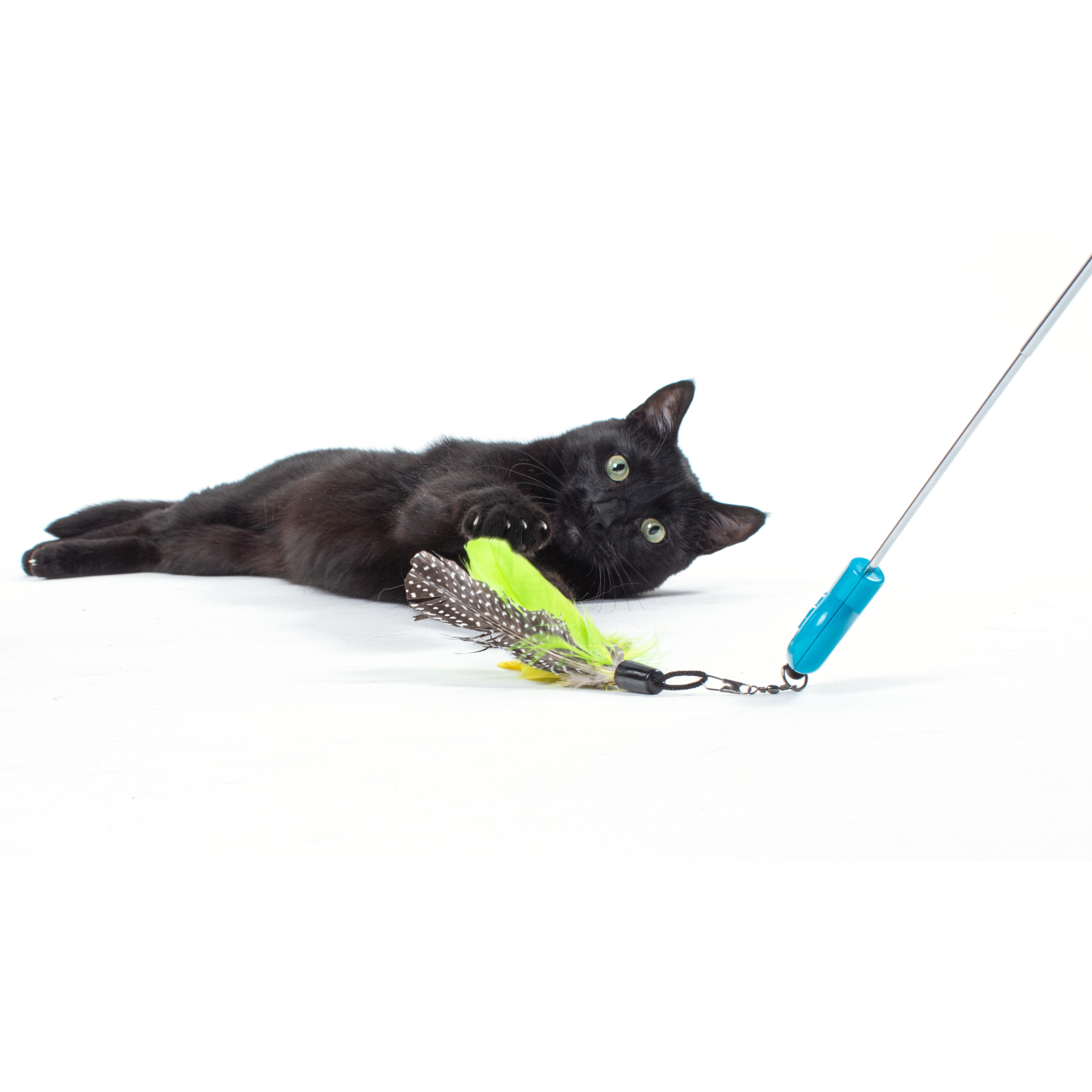 Telescoping Feather Cat Wand Toy product image 10