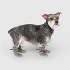 Hot Pavement Dog Boots product image 3