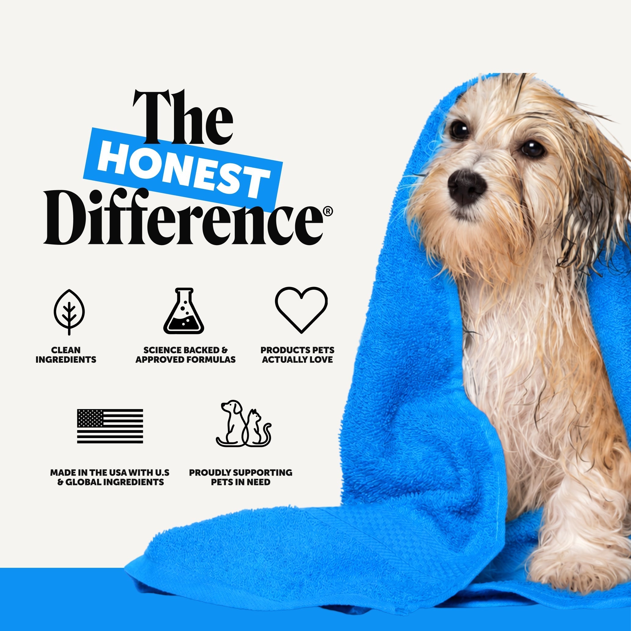 Chlorhexidine Pet Shampoo product image 8