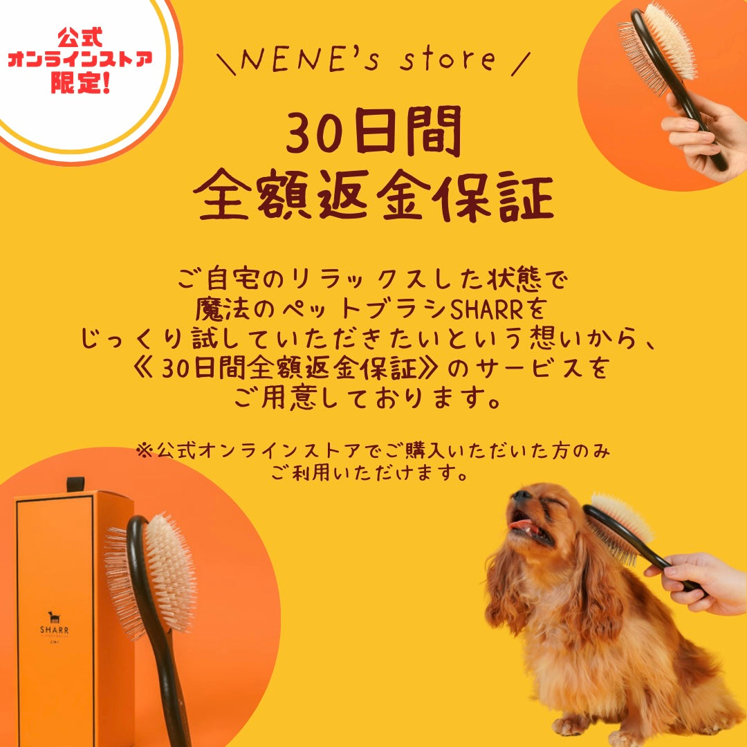 Dual-Sided Pet Grooming Brush product image 16