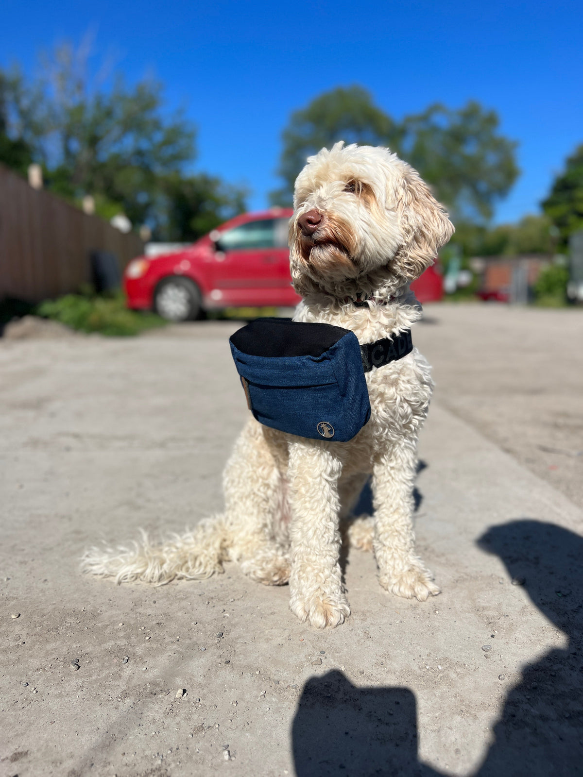 Dog Treat Pouch product image 8
