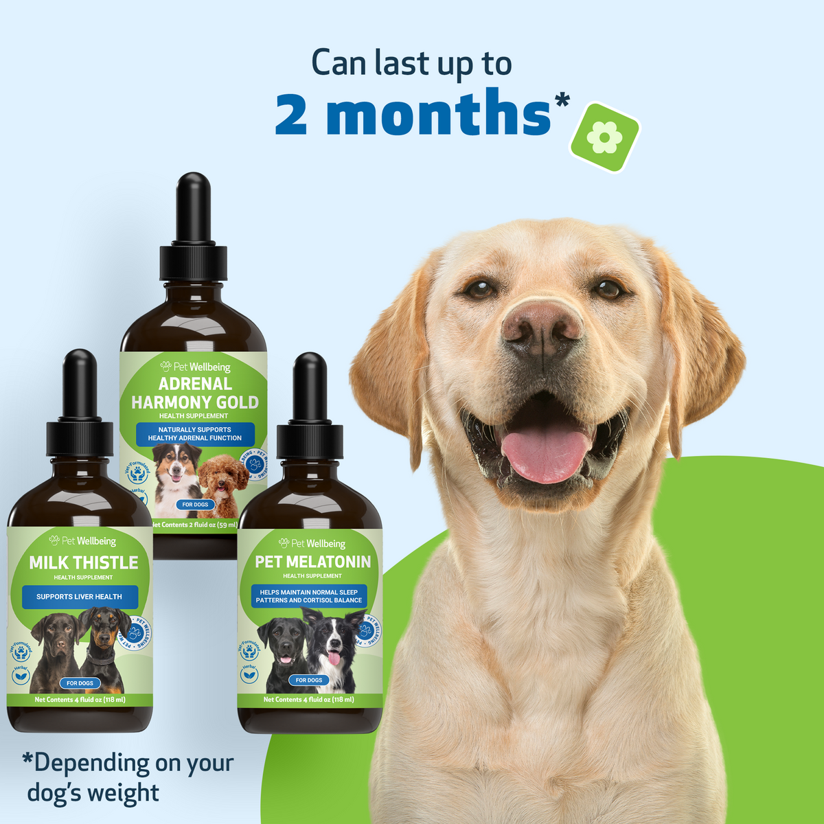 Dog Adrenal Supplement Kit for Balanced Cortisol, Liver and Daily Wellness Support, Value Size