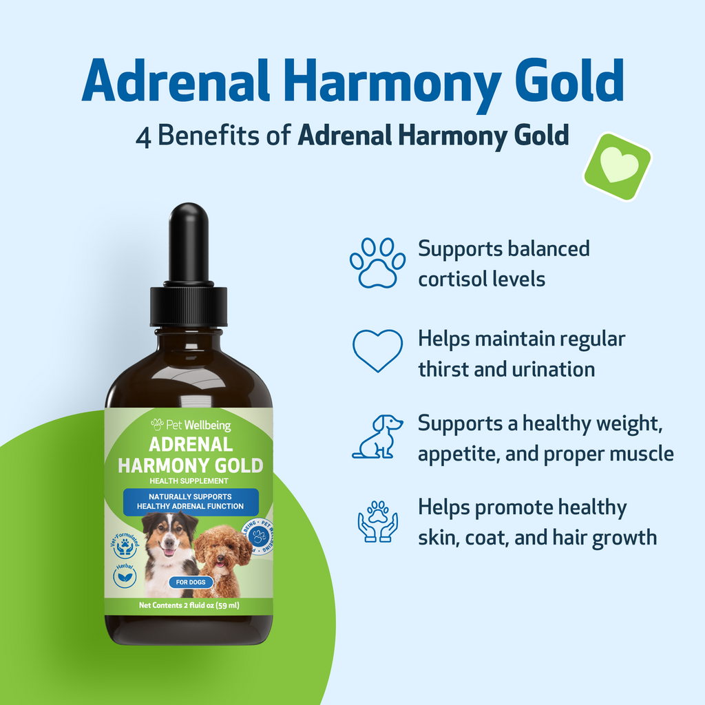 Dog Adrenal Supplement Kit for Balanced Cortisol, Liver and Daily Wellness Support, Value Size