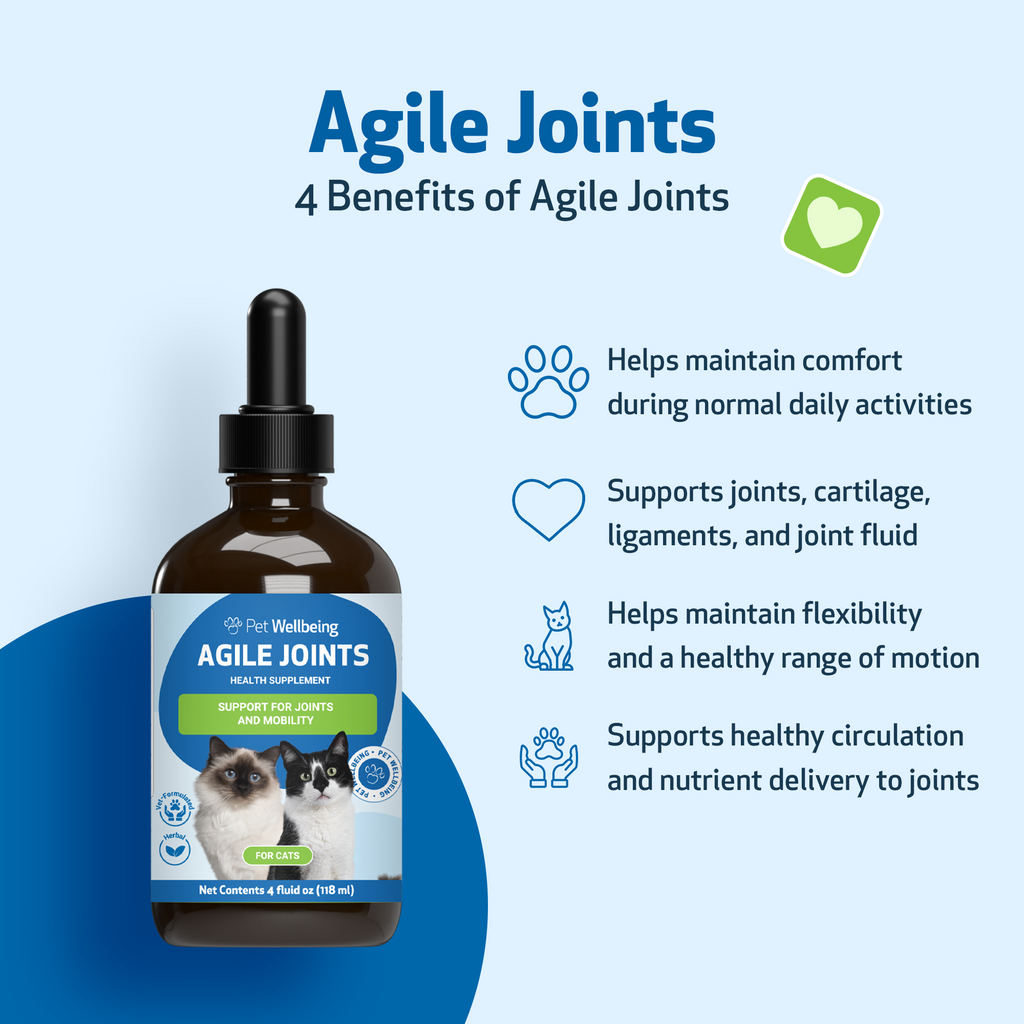 Cat Joint Supplement for Everyday Mobility: Liquid Herbal Support for Cats of All Ages, Bacon Flavor