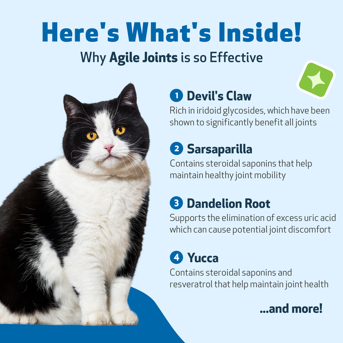 Cat Joint Supplement for Everyday Mobility: Liquid Herbal Support for Cats of All Ages, Bacon Flavor
