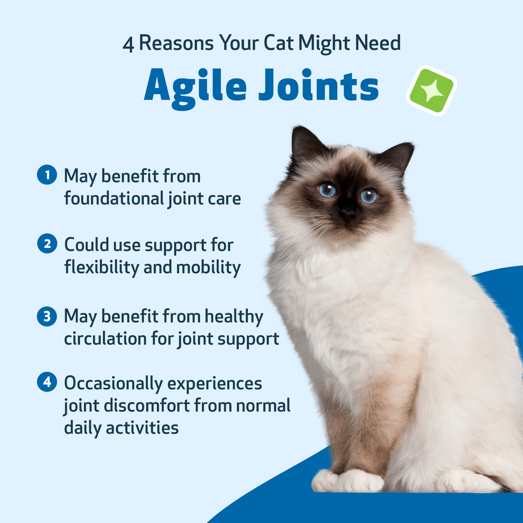 Cat Joint Supplement for Everyday Mobility: Liquid Herbal Support for Cats of All Ages, Bacon Flavor
