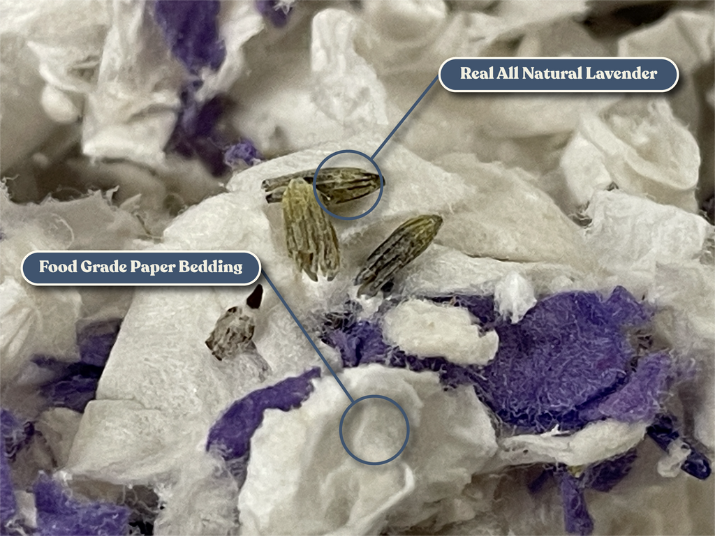 Small Animal Bedding: Ultra Premium Natural Lavender Paper Litter for Rabbits, Guinea Pigs, Chinchillas & Hamsters