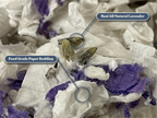 Small Animal Bedding: Ultra Premium Natural Lavender Paper Litter for Rabbits, Guinea Pigs, Chinchillas & Hamsters