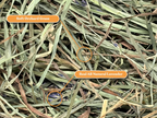 Small Animal Treat: Ultra Premium Lavender Soft Orchard Grass for Rabbits, Guinea Pigs & Chinchillas