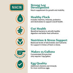 Waterfowl Vitamin Supplement product image 4