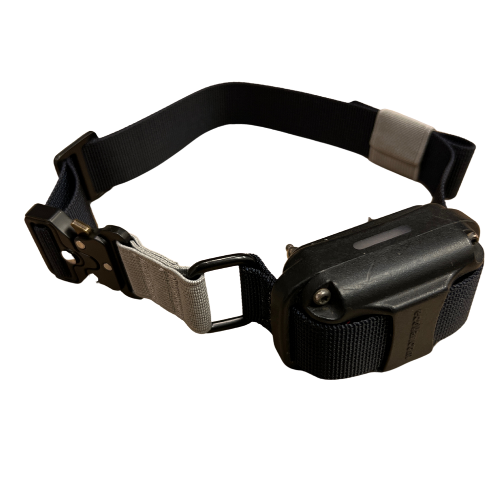 E-Collar Strap product image 9