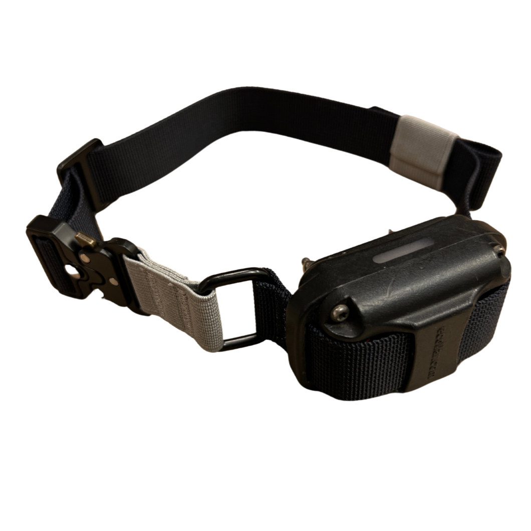 E-Collar Strap product image 9