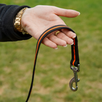 Dog Training Long Line product image 4