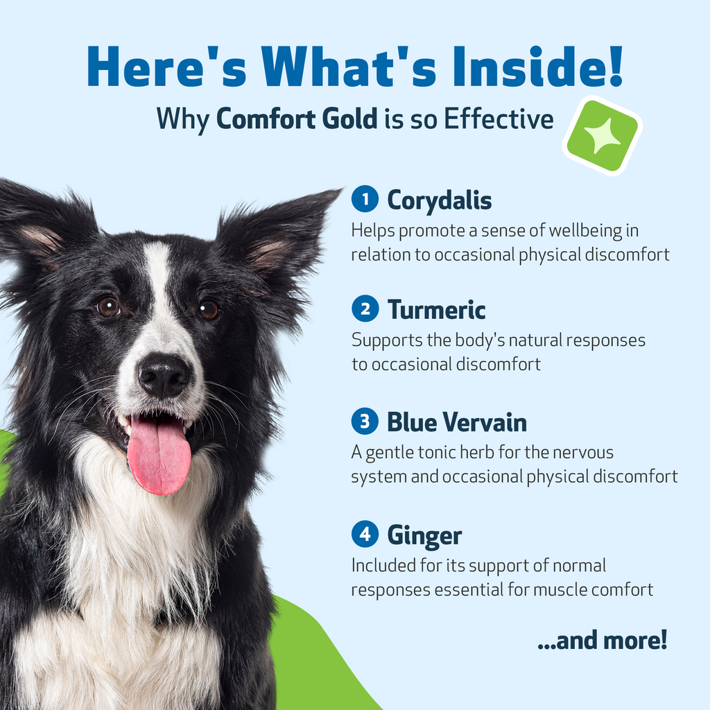 Dog Discomfort Supplement for Occasional Support, Calm Rest and Healthy Blood Flow: 4 oz Liquid