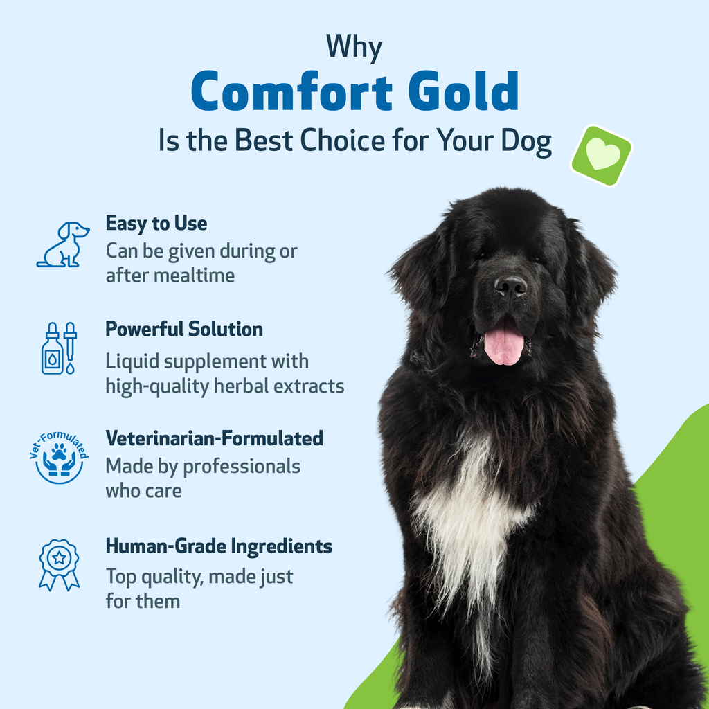 Dog Discomfort Supplement for Occasional Support, Calm Rest and Healthy Blood Flow: 4 oz Liquid