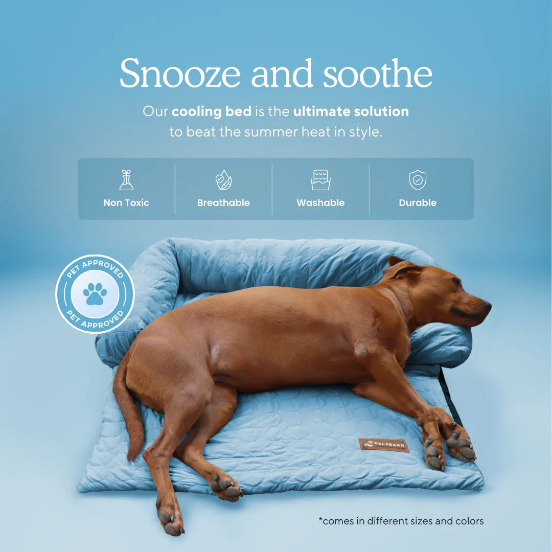 Cooling Dog Bed product image 2