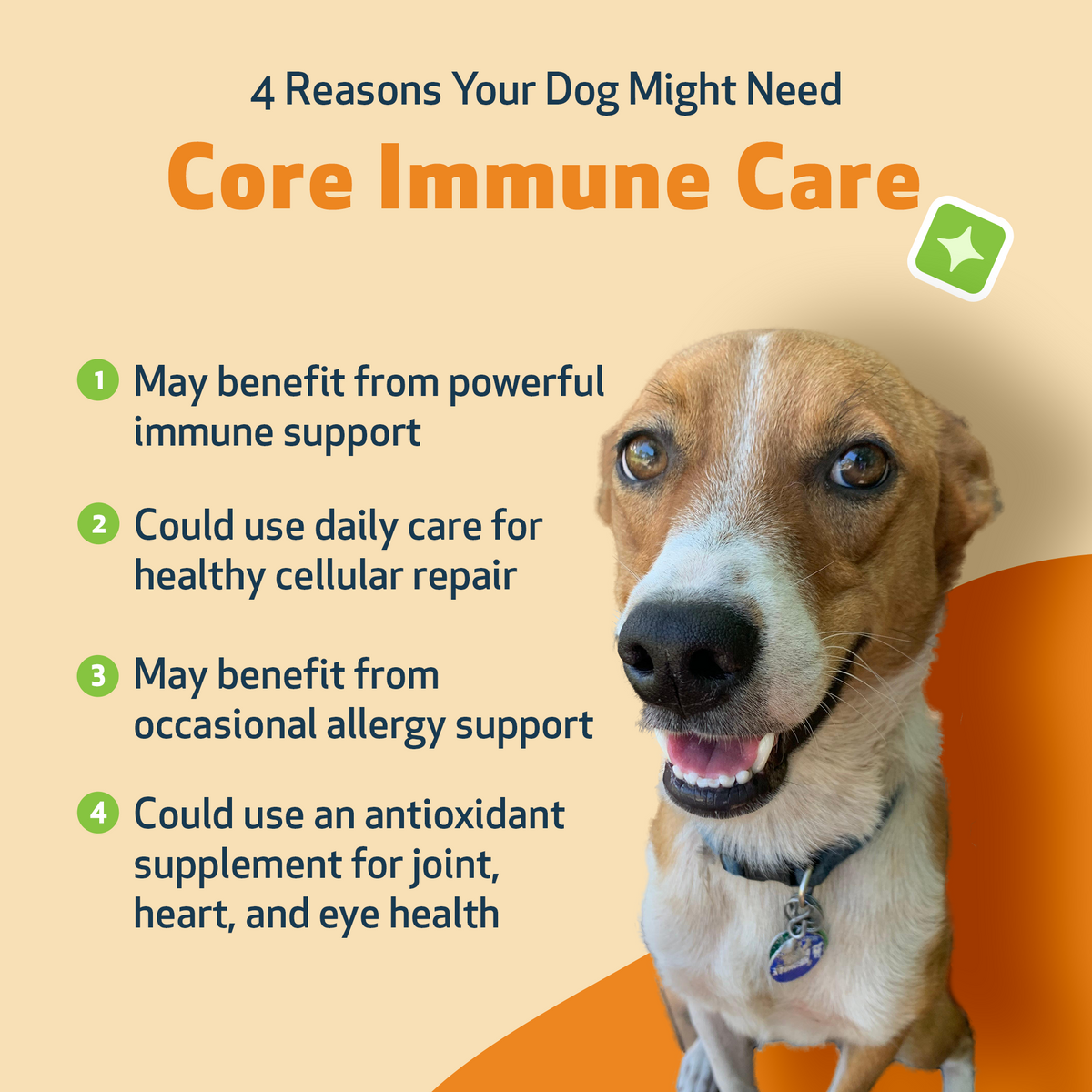 Dog Immune Supplement for Daily Antioxidant and Cellular Support for Dogs of All Ages, Including Seniors