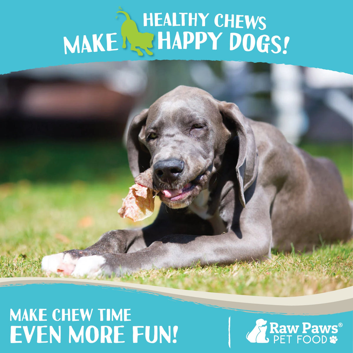 Dog Dental Chews, Cow Ears for Dogs, 5-Count Natural Single-Ingredient Treats for Engaging Chewing