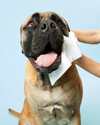 Dog Wipe Pack product image 4
