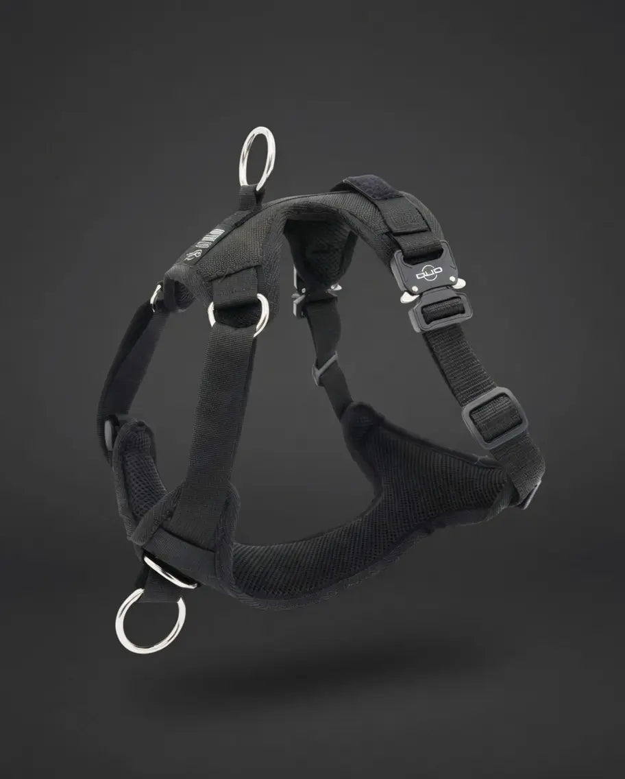 No-Pull Dog Harness product image 1