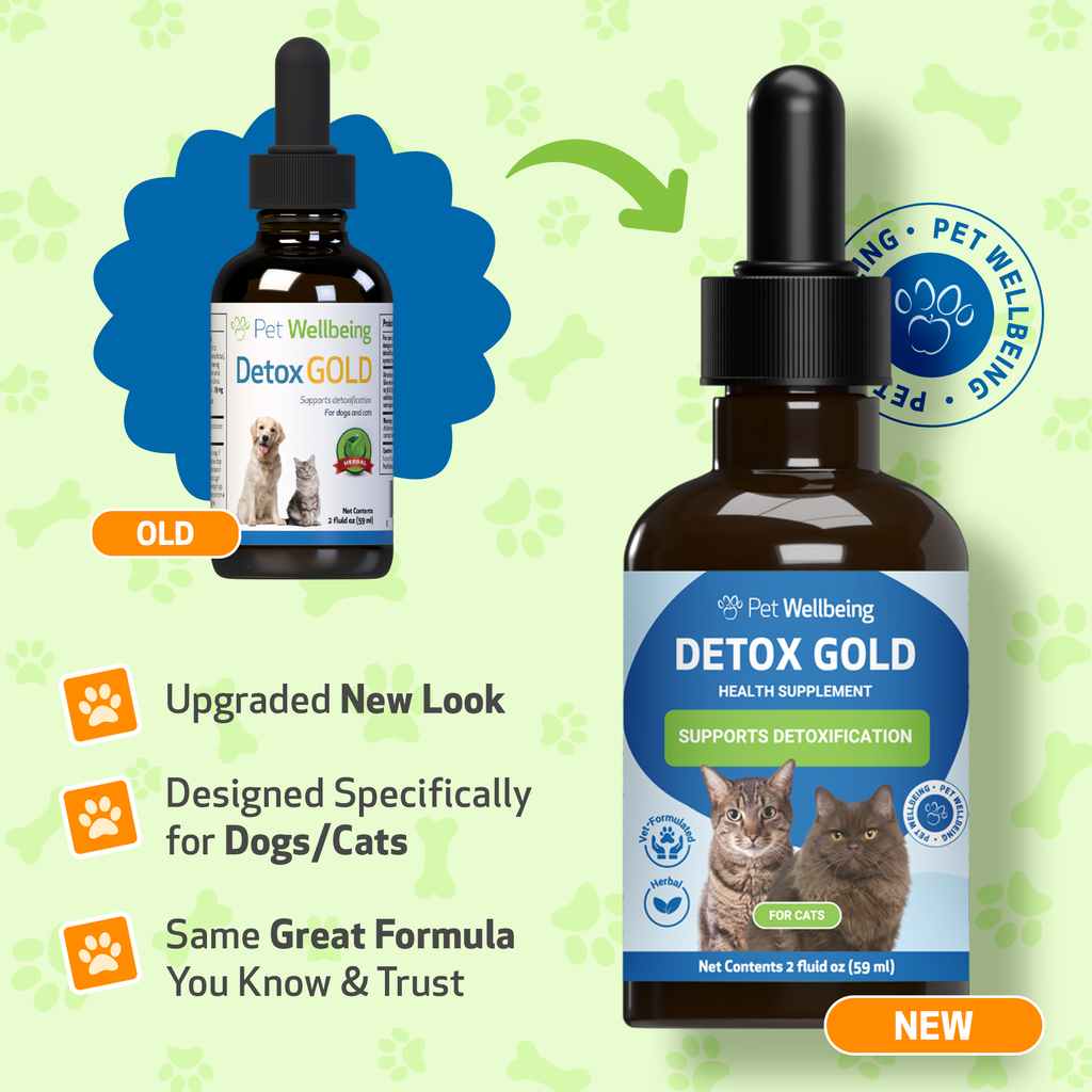 Cat Detox Supplement, Liquid Herbal Support for Gentle Elimination, Immune Function and Everyday Vitality
