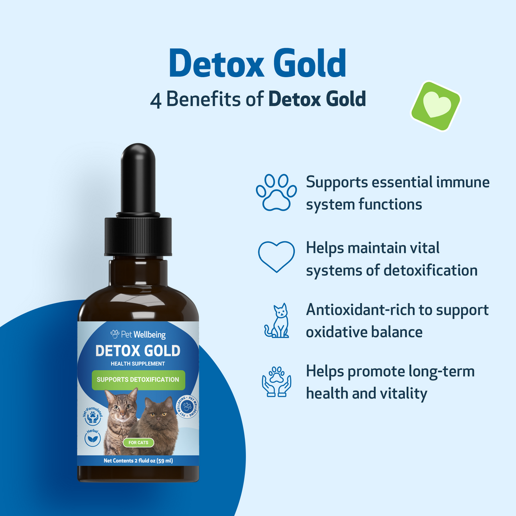 Cat Detox Supplement, Liquid Herbal Support for Gentle Elimination, Immune Function and Everyday Vitality